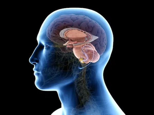 enfermedades en personas victimas de abuso